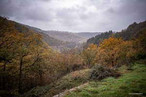 Abbaye de Bonnecombe arquitectura cisterciense en cister
