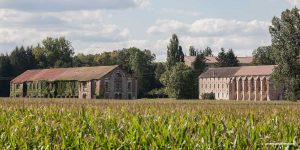Abbaye de Citeaux en arquitectura cisterciense