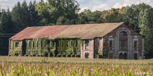 Abbaye de Citeaux en arquitectura cisterciense