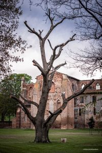 La arquitectura cisterciense de la Abbaye de Eaunes