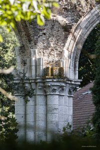 La arquitectura cisterciense de la Abbaye de Fontainejean