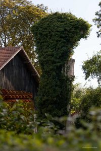La arquitectura cisterciense de la Abbaye de Fontainejean