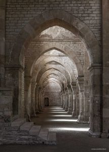 Arquitectura cisterciense de la Abbaye de Fontenay