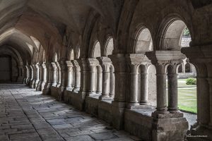 Arquitectura cisterciense de la Abbaye de Fontenay