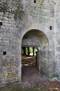La arquitectura cisterciense de la Abbaye de La Cour Dieu