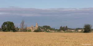 La arquitectura cisterciense del monasterio de La Oliva