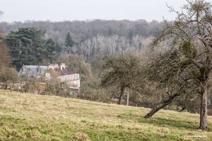La arquitectura cisterciense de la Abbaye de Le Val Richer