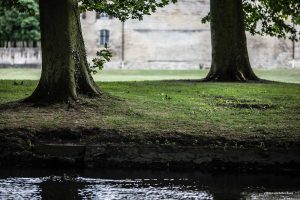 La arquitectura cisterciense de la Abbaye de Maubuisson
