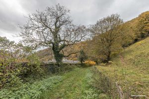 La arquitectura cisterciense de la Abbaye de Bonneval