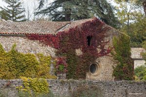 La arquitectura cisterciense de la Abbaye de Villelongue
