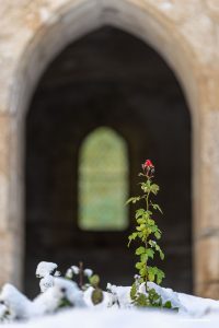 La arquitectura cisterciense de la Abbaye de Valcroissant