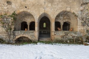 La arquitectura cisterciense de la Abbaye de Valcroissant