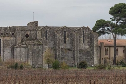 Abbaye de Vignogoul del císter en arquitectura cisterciense
