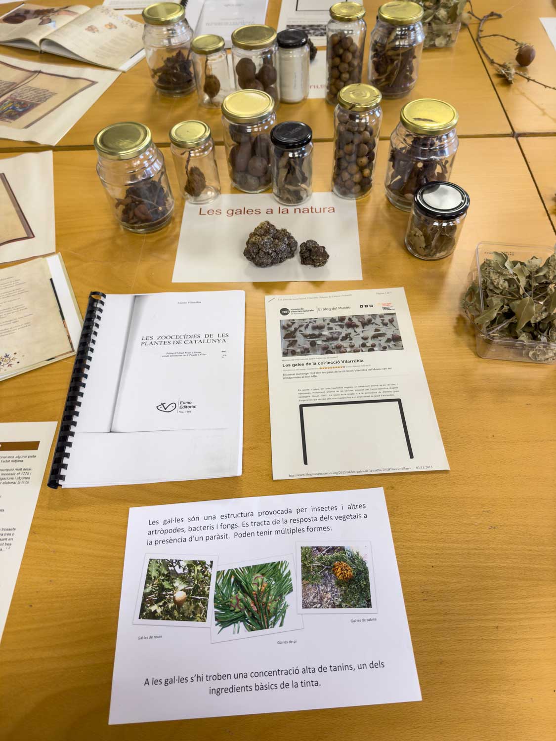 Muestras vegetales de galas y material didáctico de consulta.
