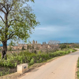 Santes-Creus