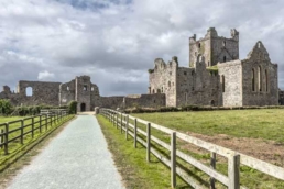 Dunbrody Abbey